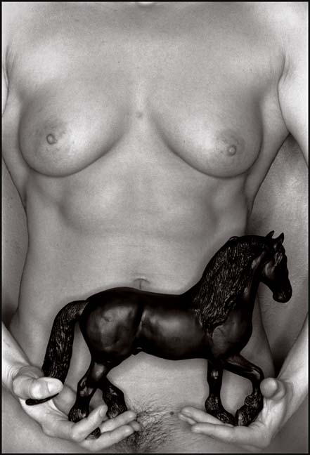 Horse Torso