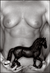 Torso & Horse