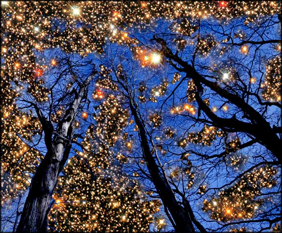 star canopy